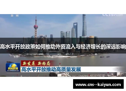 高水平开放政策如何推动外资流入与经济增长的深远影响